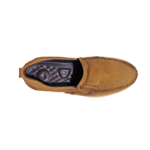 ডক্টর সোল্ড